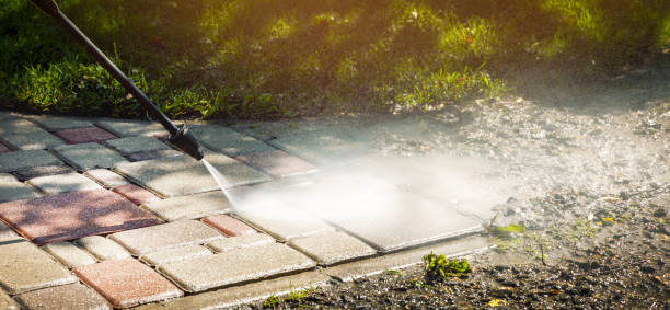 Best Soft Washing  in Winter Garden, FL